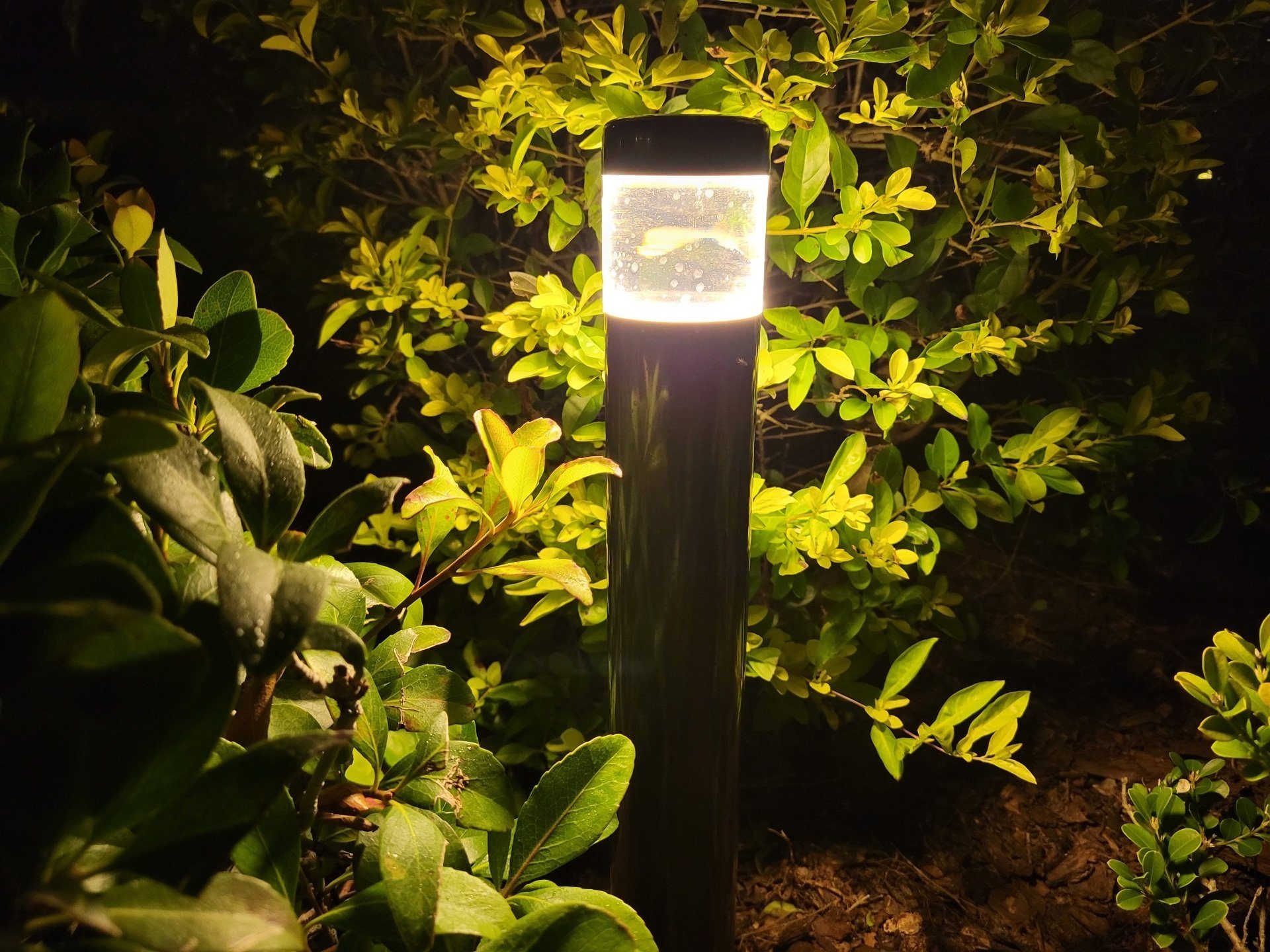 Contemporary bollard path light in a garden setting